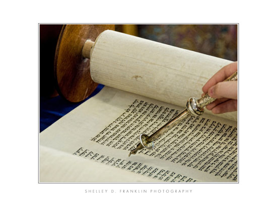 Torah Portion 11x14